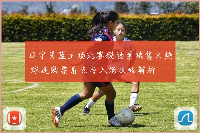 辽宁男篮主场比赛现场票销售火热 球迷购票看点与入场攻略解析