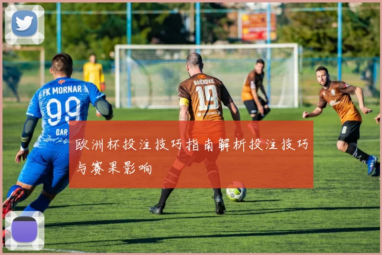 欧洲杯投注技巧指南解析投注技巧与赛果影响