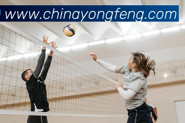 半岛手机网页版官网发展历程